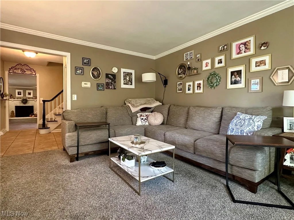 737 N Bentley Avenue, Niles, Ohio 44446,MLS Now Listing ID