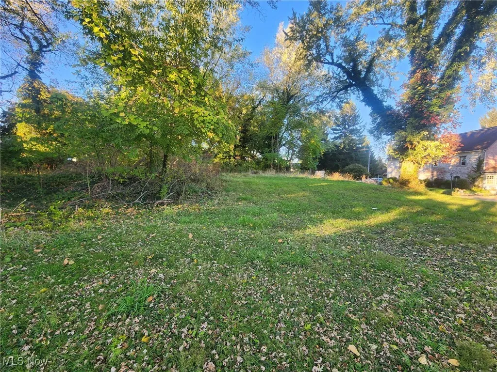 View of grassy yard