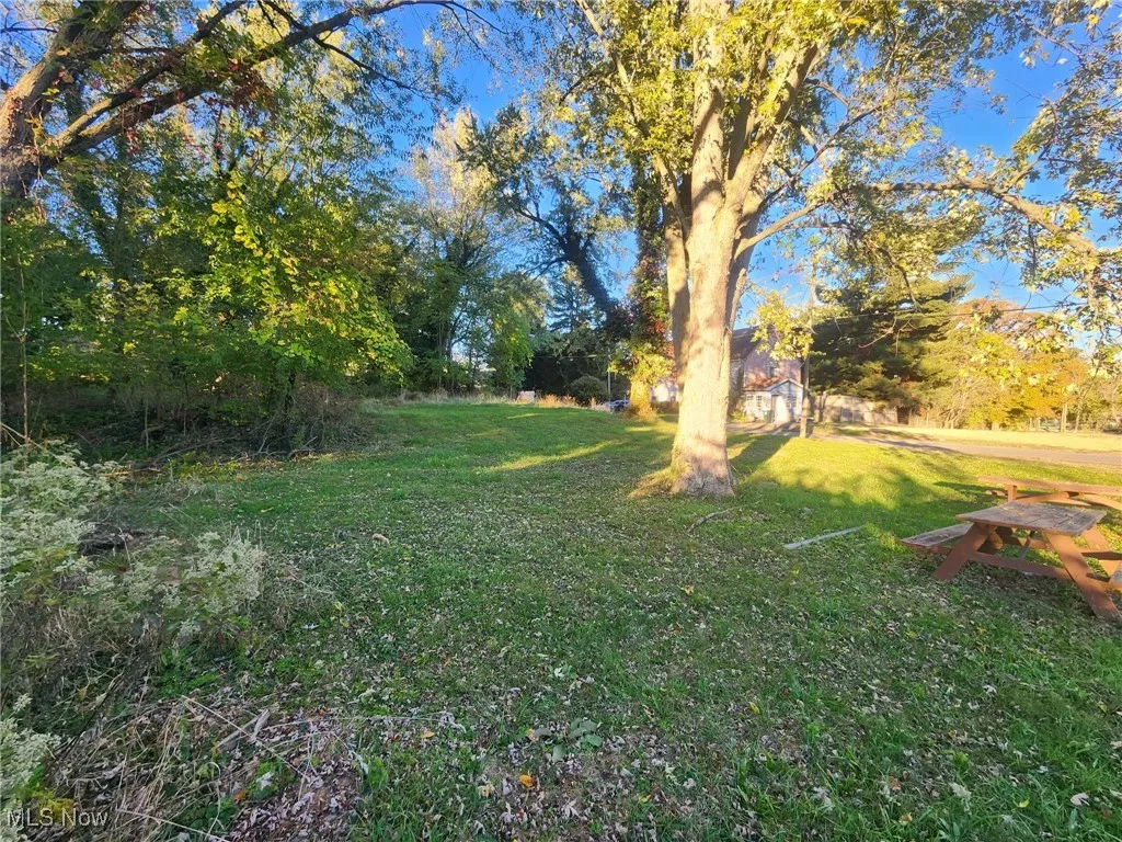 View of grassy yard featuring view of scattered trees