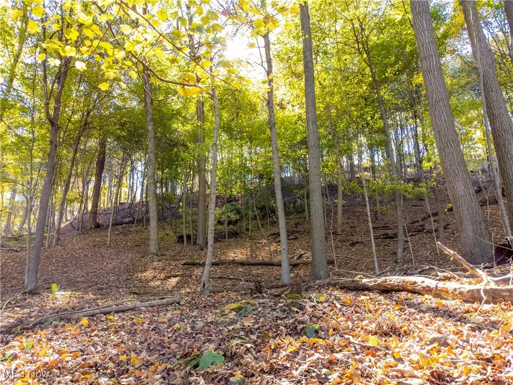 Woodview Drive, Weirton, West Virginia 26062,MLS Now Listing ID