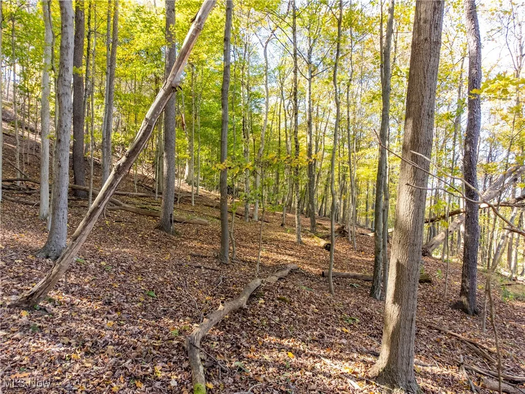 Woodview Drive, Weirton, West Virginia 26062,MLS Now Listing ID
