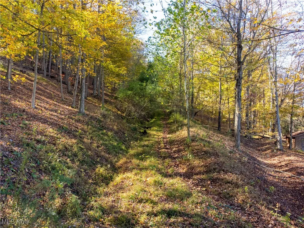 Woodview Drive, Weirton, West Virginia 26062,MLS Now Listing ID