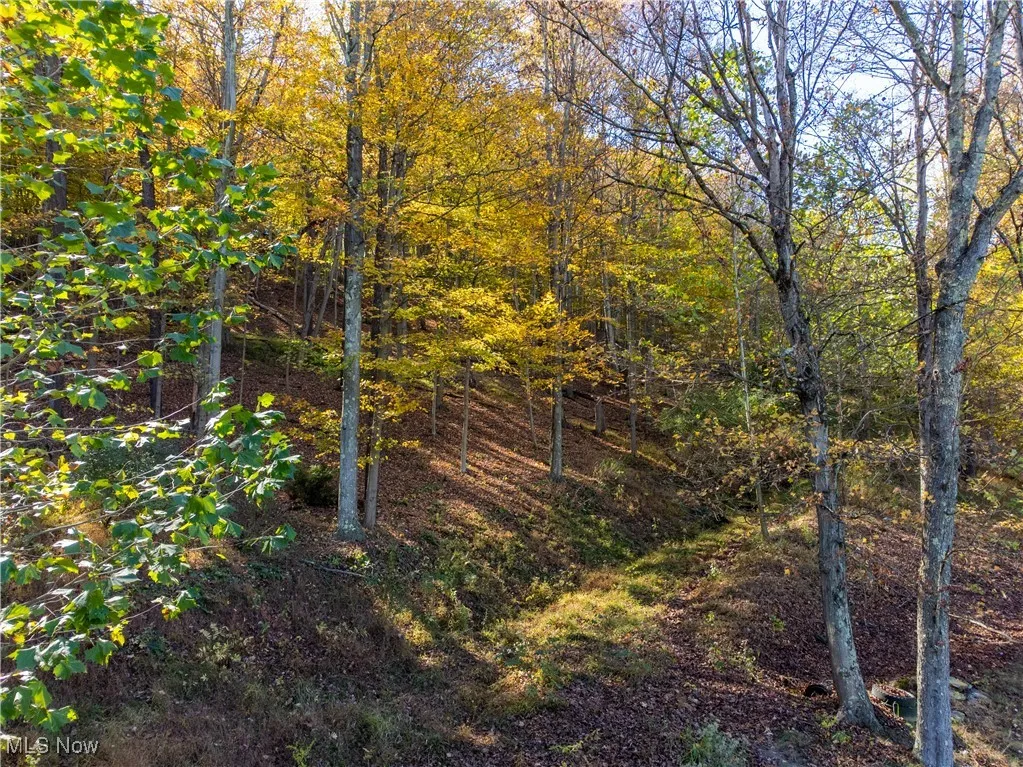 Woodview Drive, Weirton, West Virginia 26062,MLS Now Listing ID