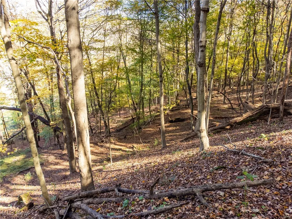 Woodview Drive, Weirton, West Virginia 26062,MLS Now Listing ID