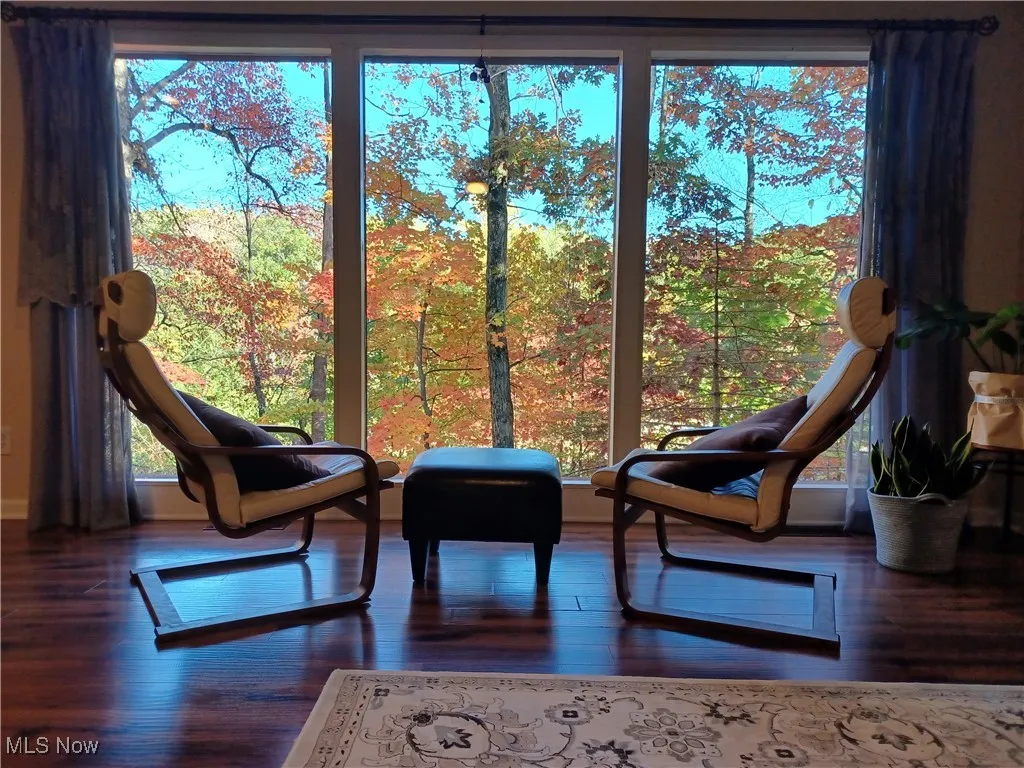 Living area with dark wood-style floors