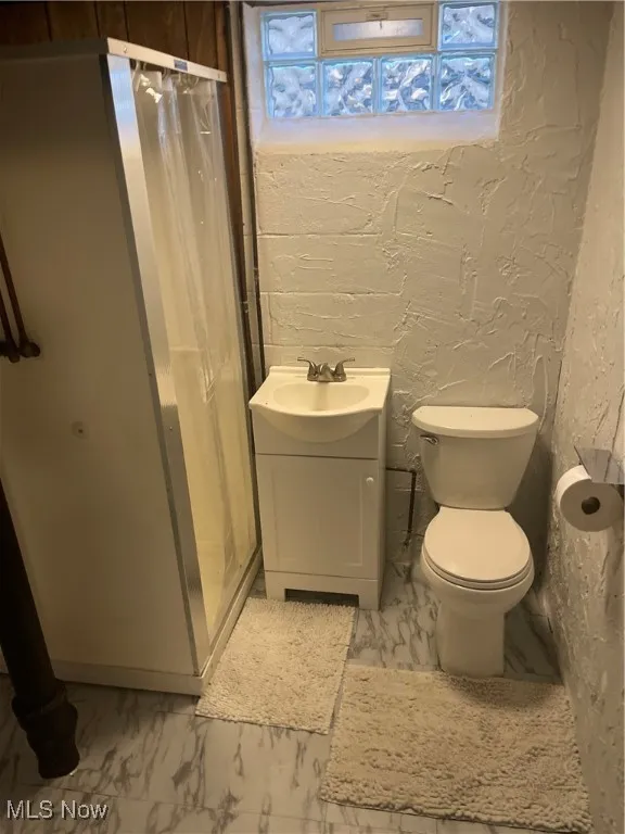 Lower level bathroom