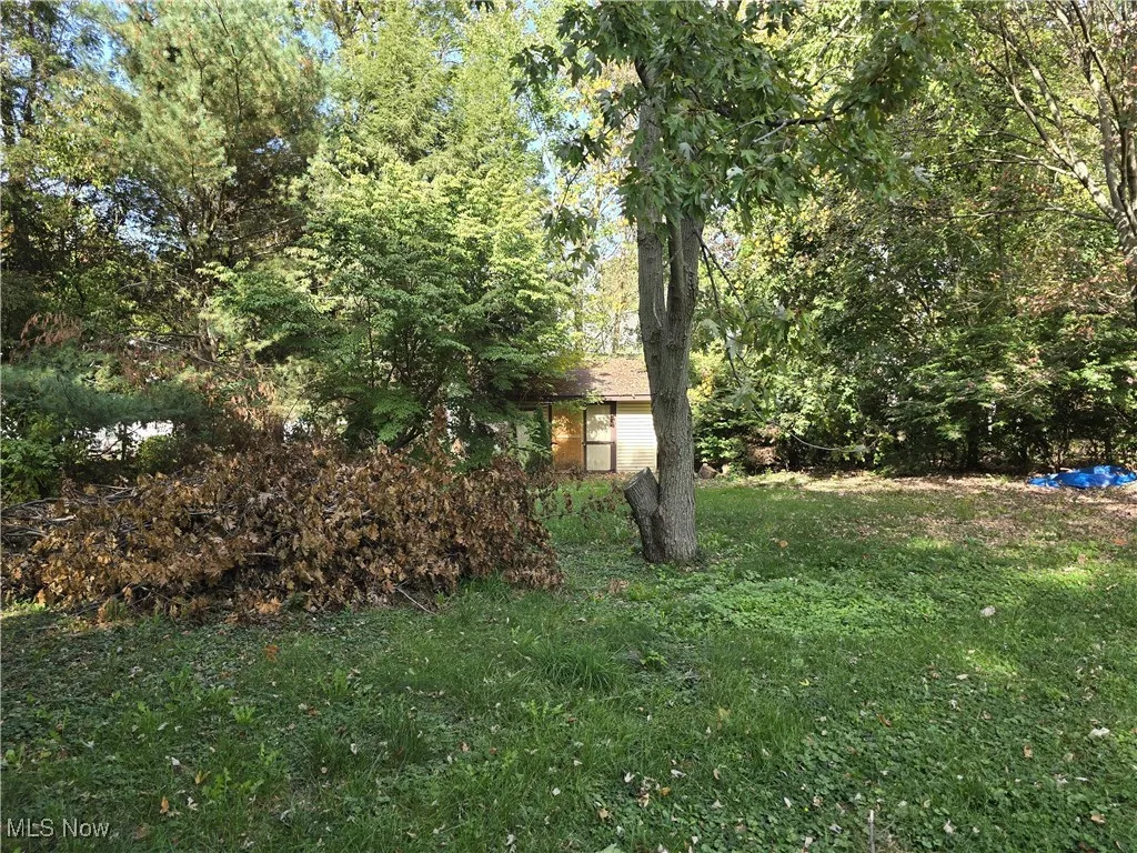 View of green lawn with a wooded view