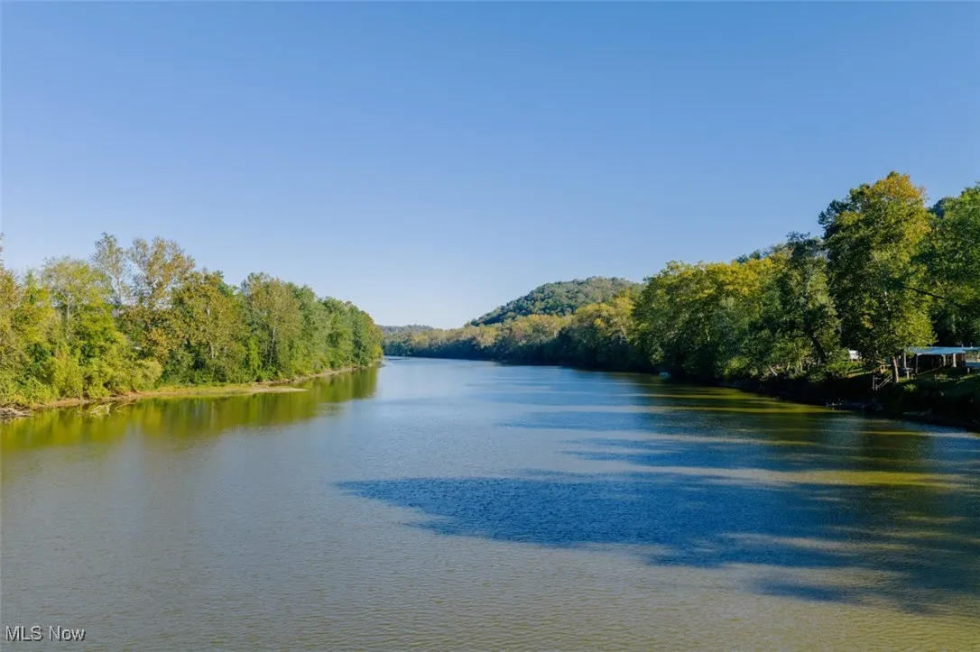 Water view with a forest