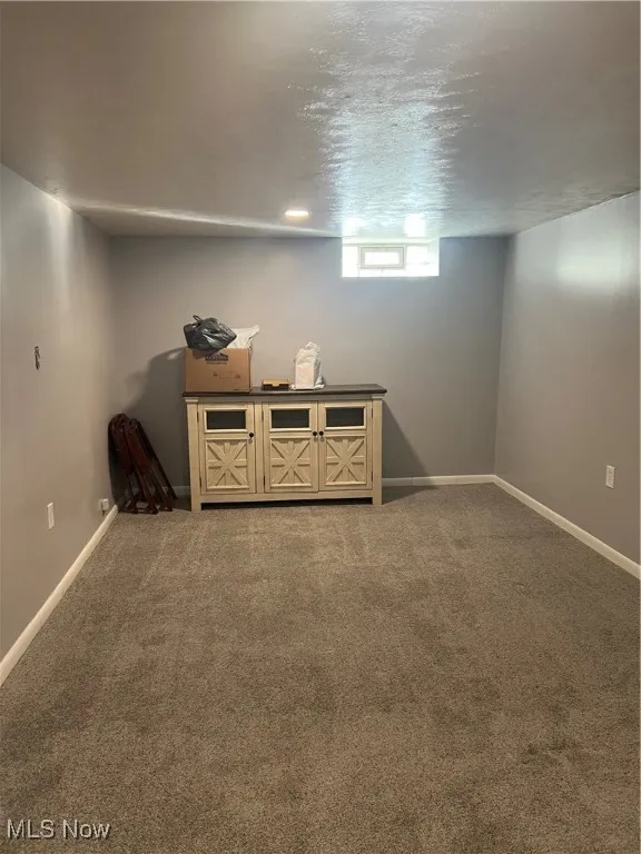 Below grade area featuring carpet floors and a textured ceiling