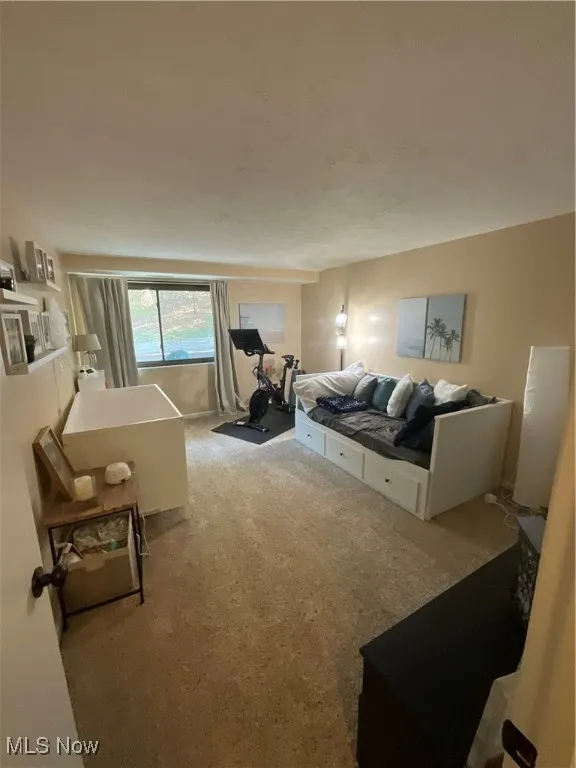 6850 Carriage Hill Drive, Brecksville, Ohio 44141,MLS Now Listing ID