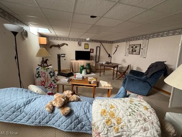 Family-style room in lower-level with carpet flooring and a drop ceiling
