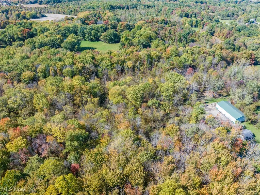 Aerial overview of property's location with a heavily wooded area
