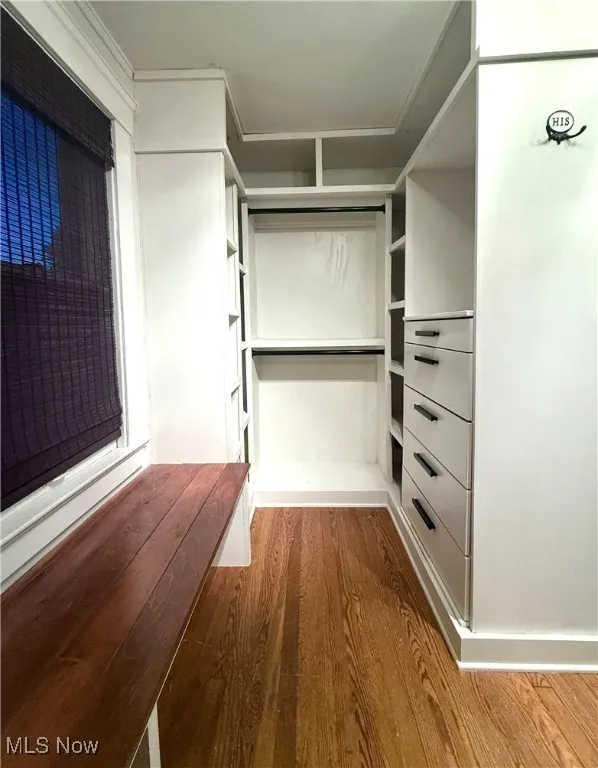 Spacious closet featuring light wood-style flooring
