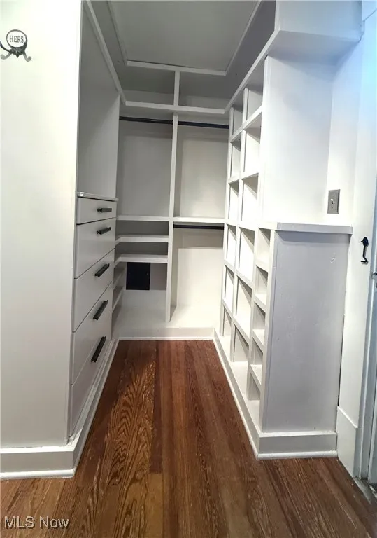 Spacious closet with dark wood-type flooring