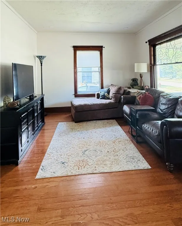 Living room with wood finished floors, a textured ceiling, healthy amount of natural light, and crown molding