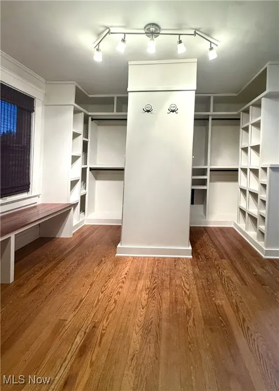 Spacious closet featuring dark wood-type flooring