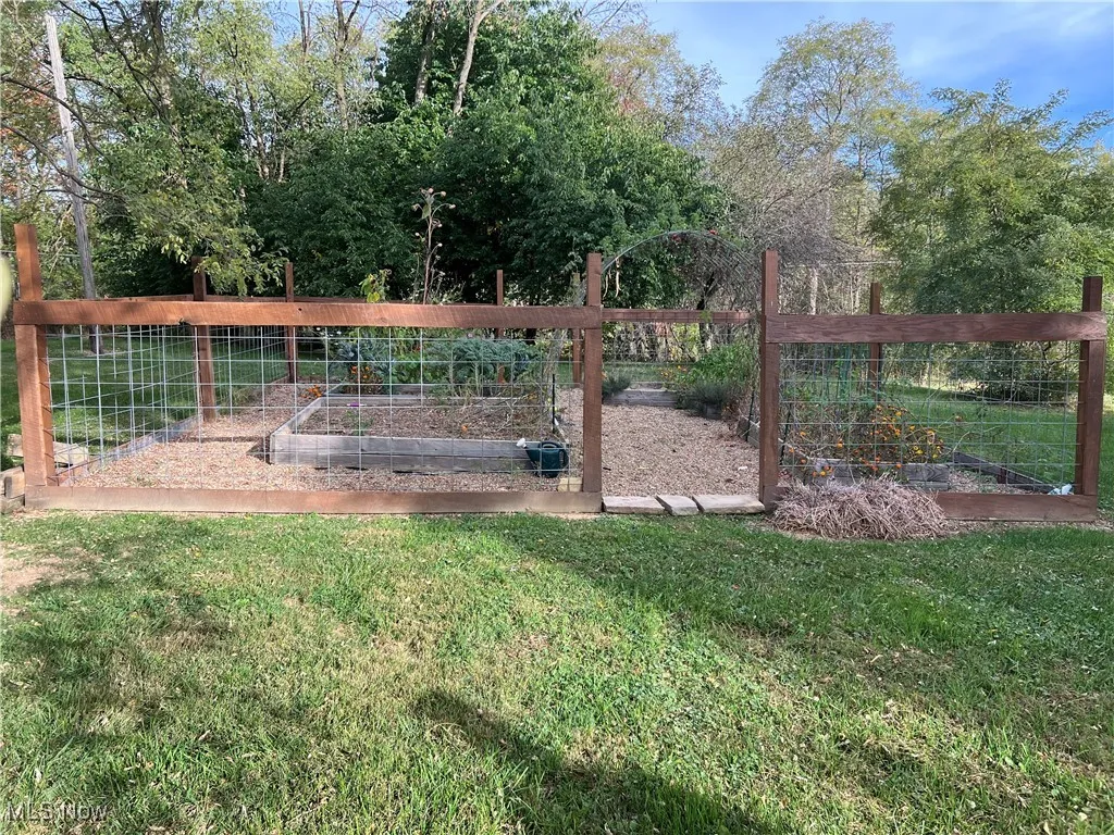 Vegetable garden