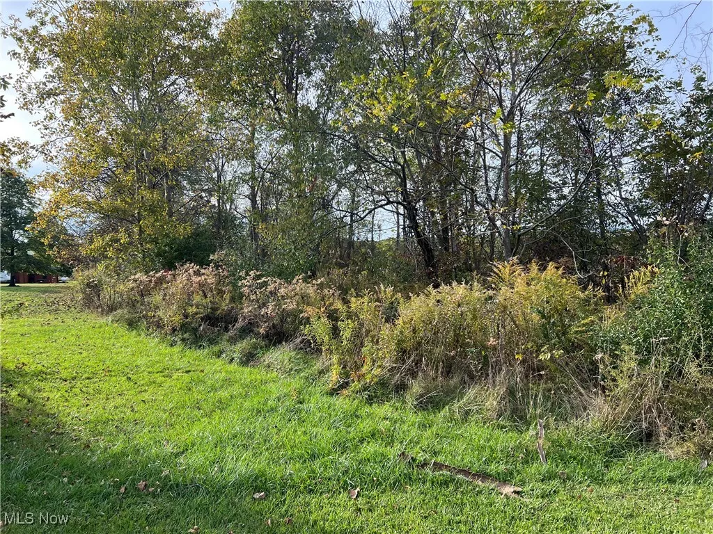 Woods in back of lot