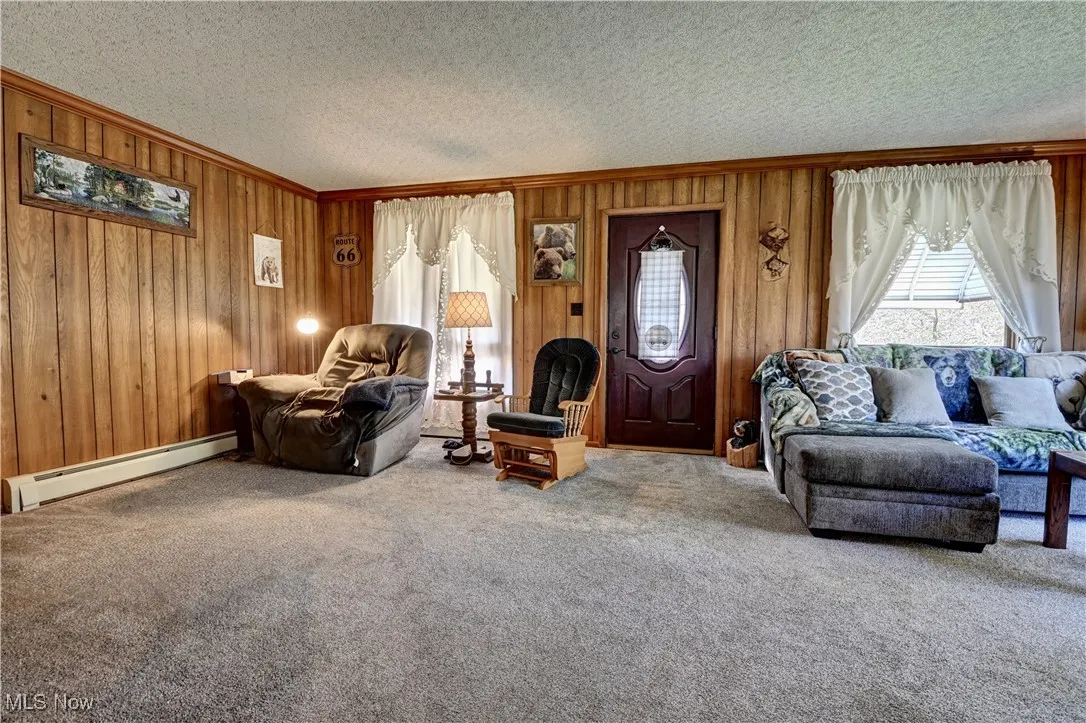 Carpeted living room featuring a baseboard heating unit, wooden walls, and crown molding