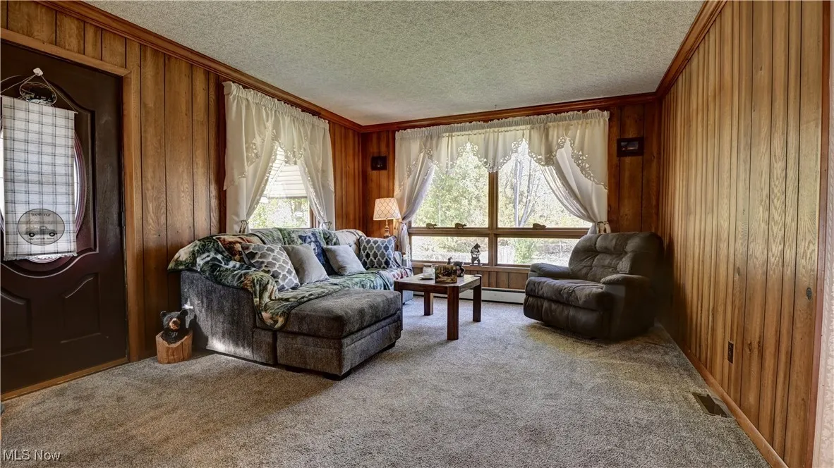 Carpeted living room with wood walls, crown molding, a baseboard radiator, and a textured ceiling