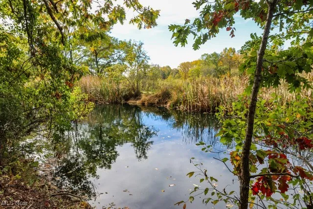 Water view featuring a heavily wooded area