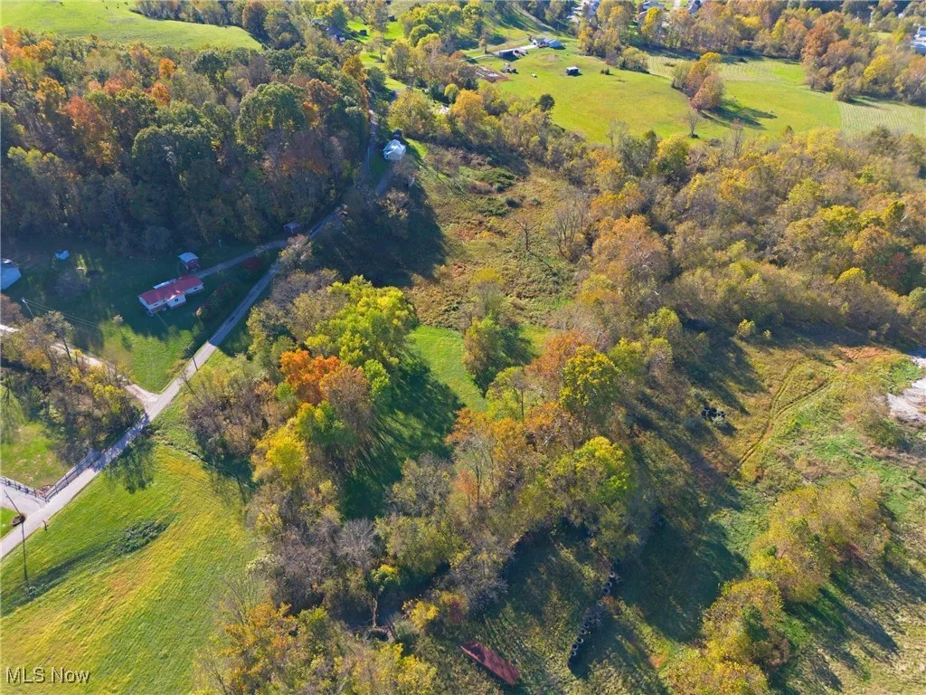 Aerial view of property's location with a forest