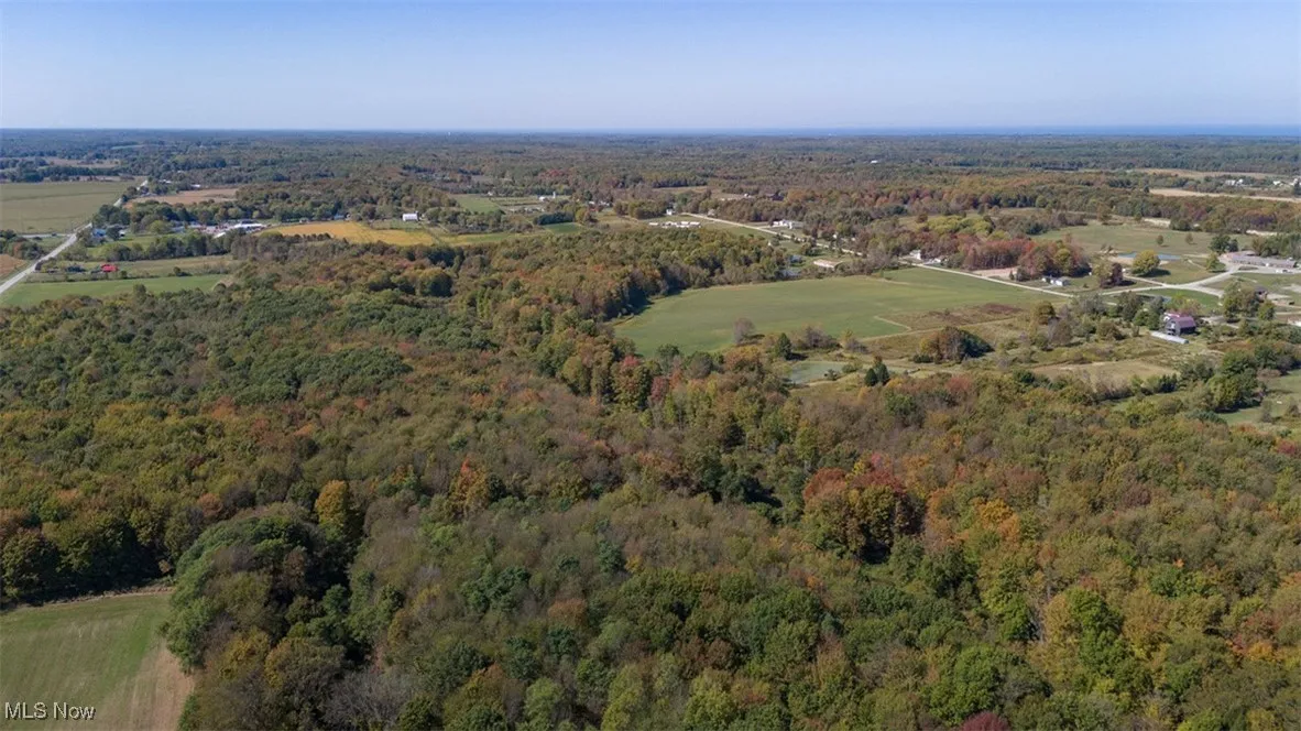 Aerial view of property's location with a forest