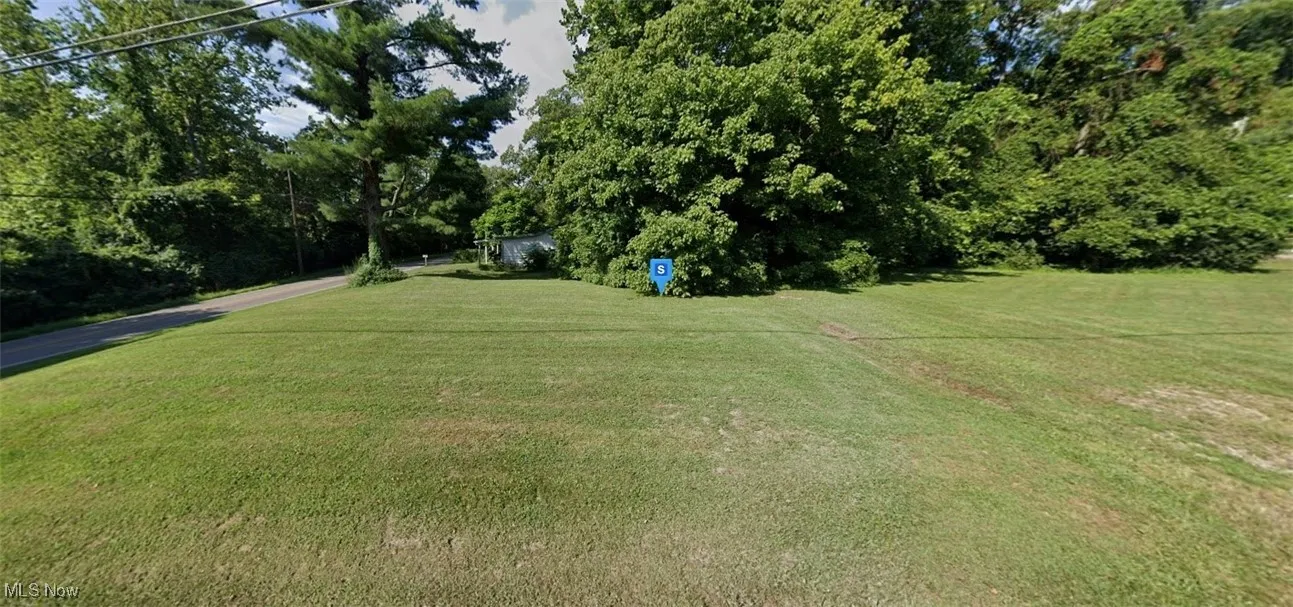 View of grassy yard featuring view of scattered trees
