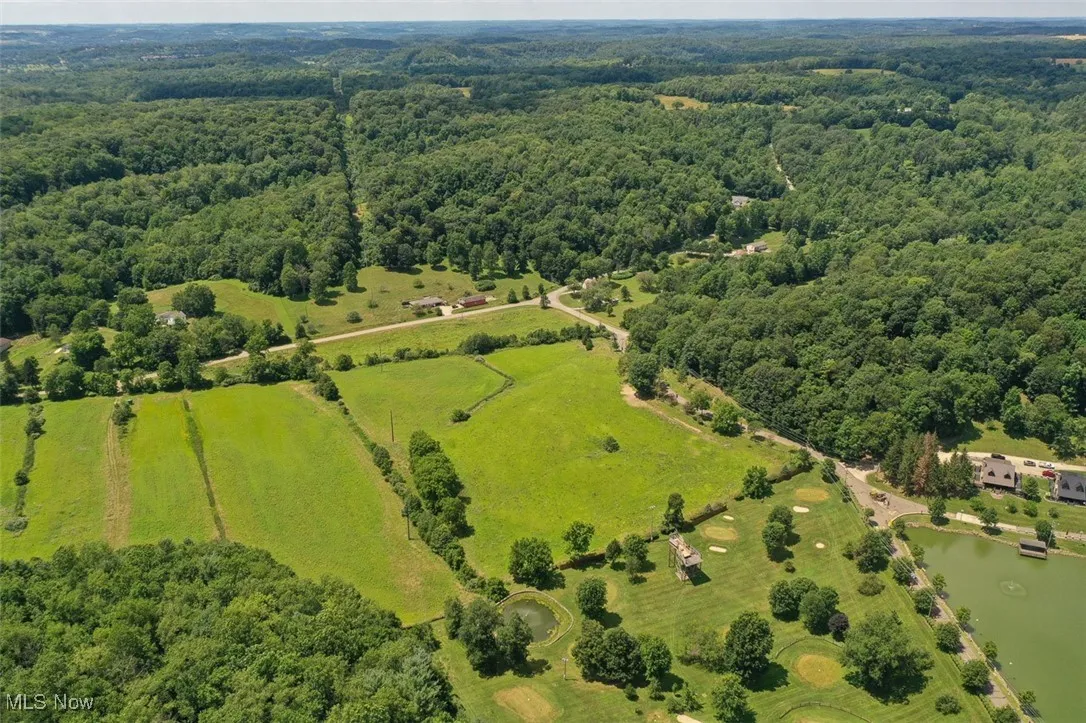 Drone / aerial view of a large body of water and a forest