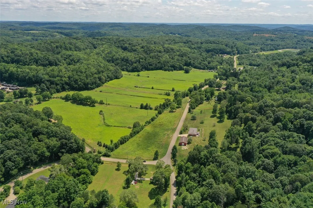 Overview of rural landscape with a forest