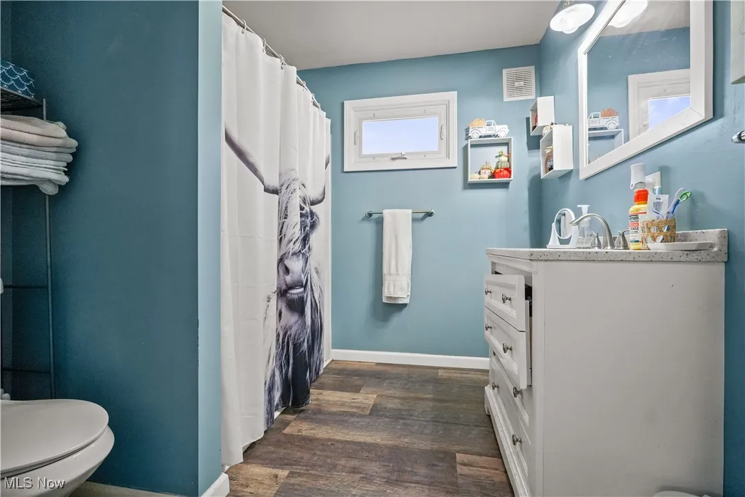 Full bath featuring vanity, a shower with curtain, and dark wood-type flooring
