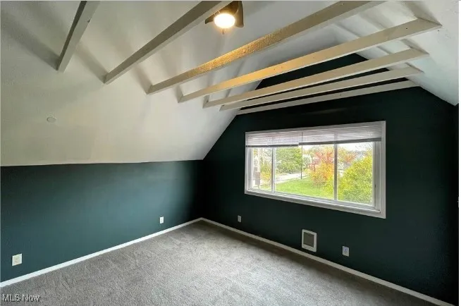 Bonus room with carpet flooring and baseboards