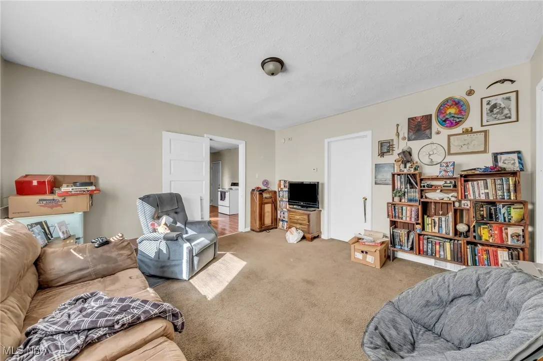 Carpeted living room with a textured ceiling