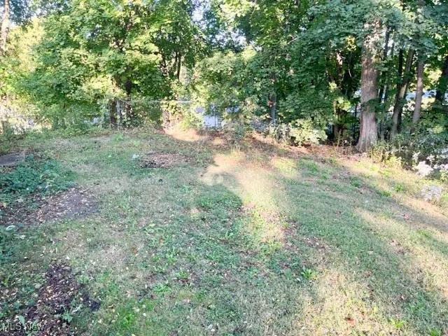 882 Carpenter Street, Akron, Ohio 44310,MLS Now Listing ID