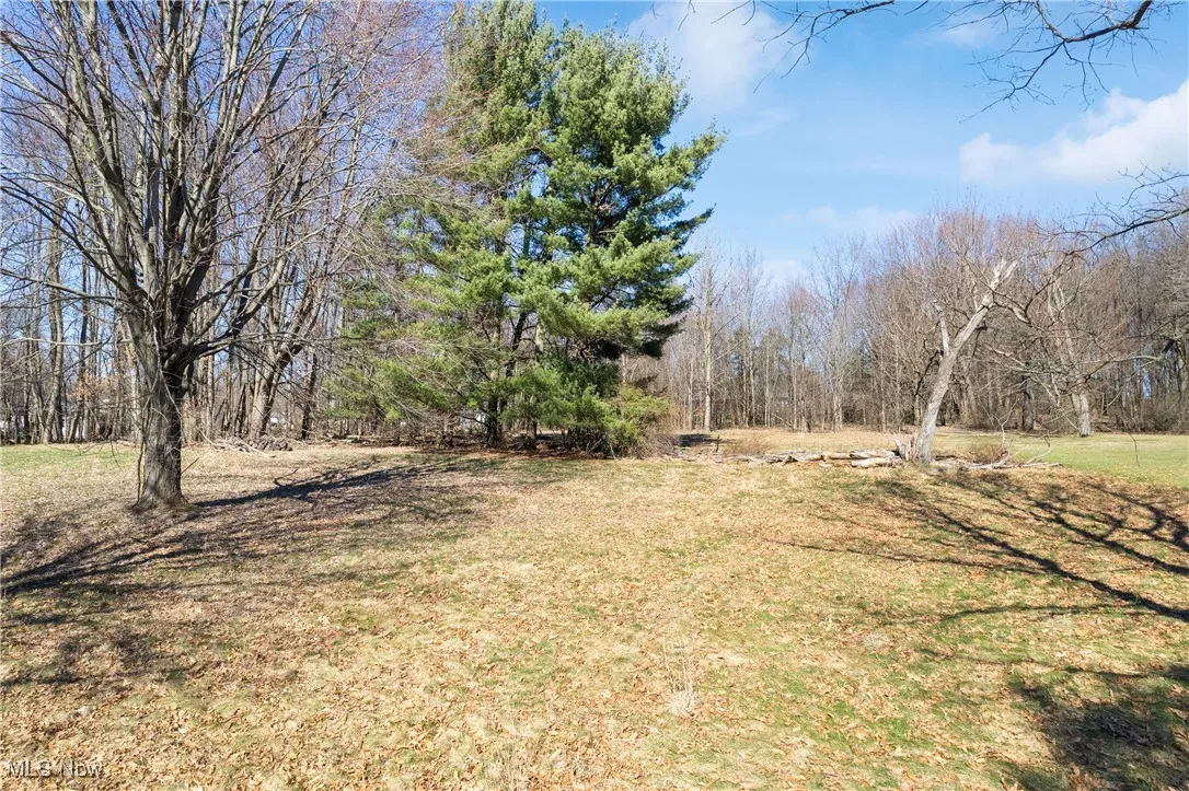 View of green lawn with a wooded view