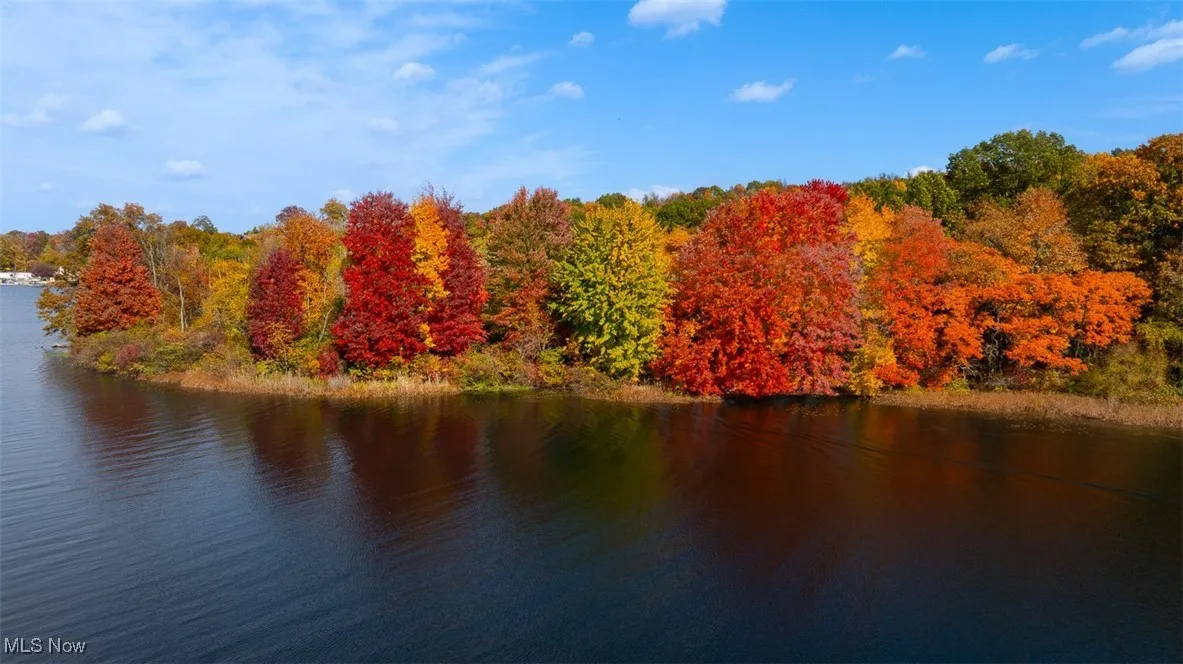 Water view featuring a forest