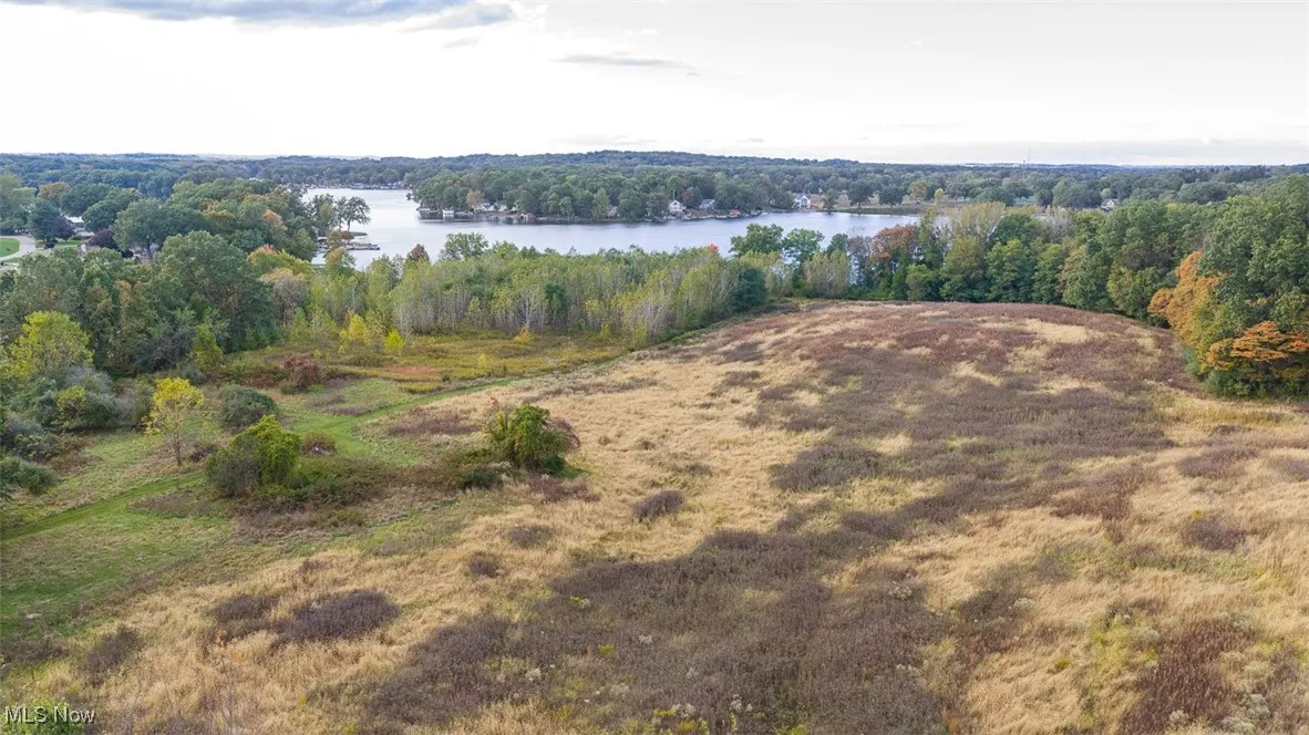 Drone / aerial view of a large body of water and a forest