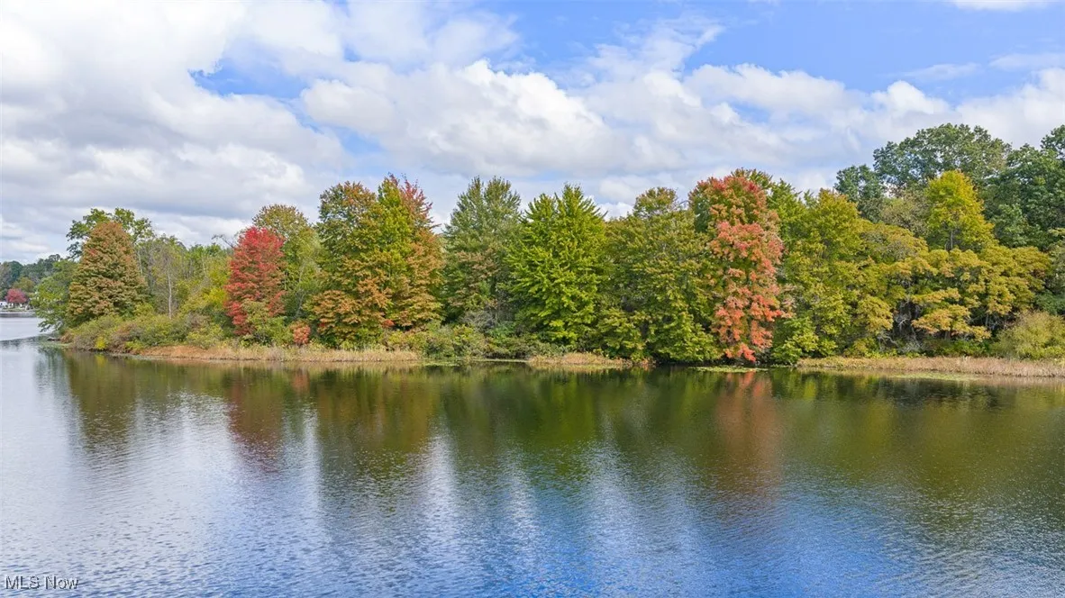 Water view featuring a forest