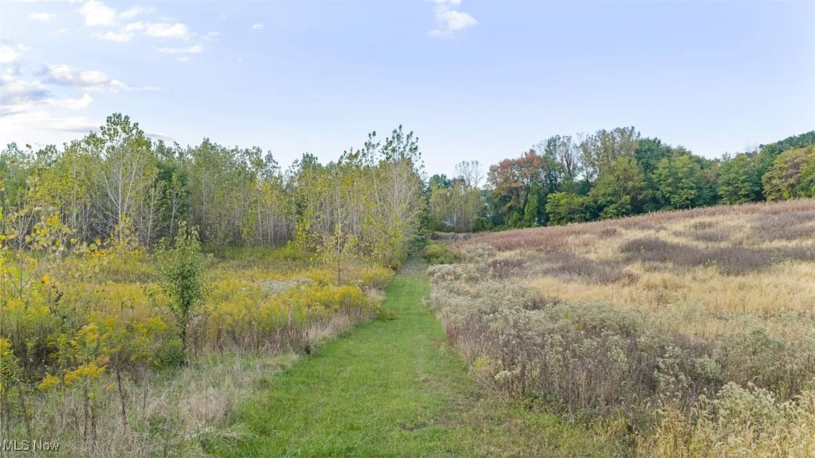 View of wooded area