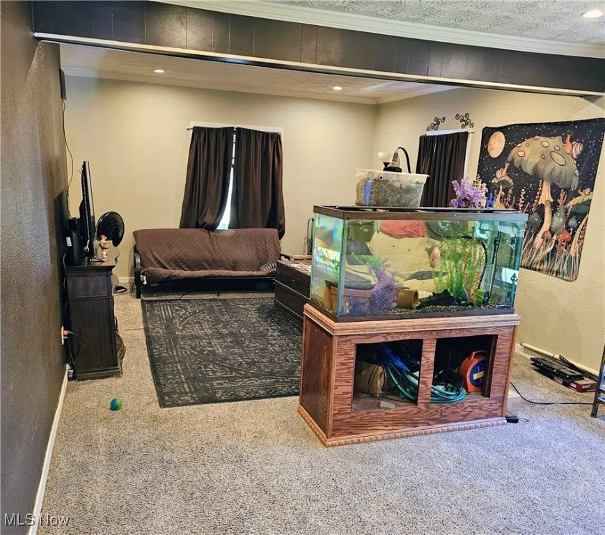 1711 Wellington Avenue, Youngstown, Ohio 44509,MLS Now Listing ID