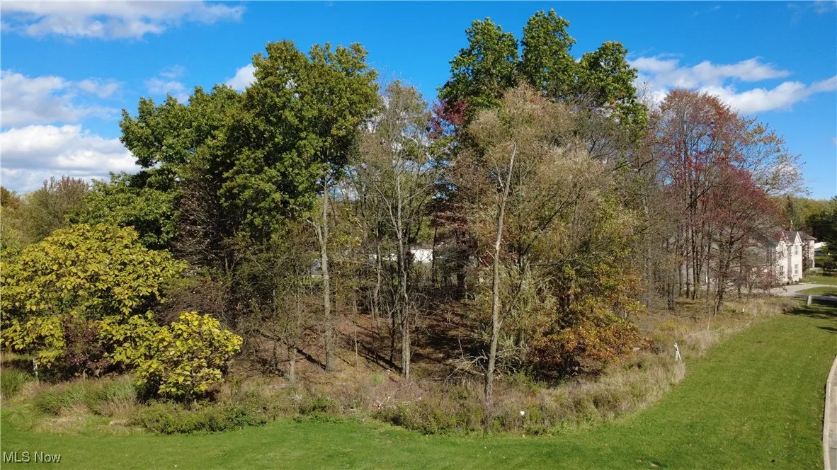 View from left side of lot