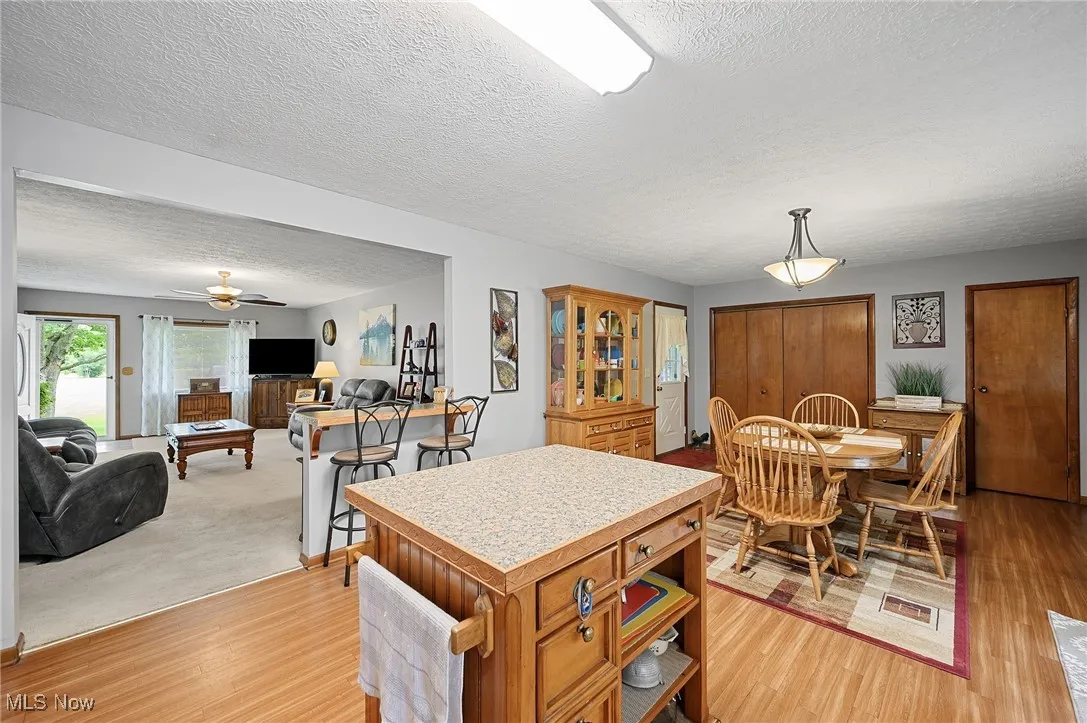 40725 Biggs Road, La Grange, Ohio 44050,MLS Now Listing ID