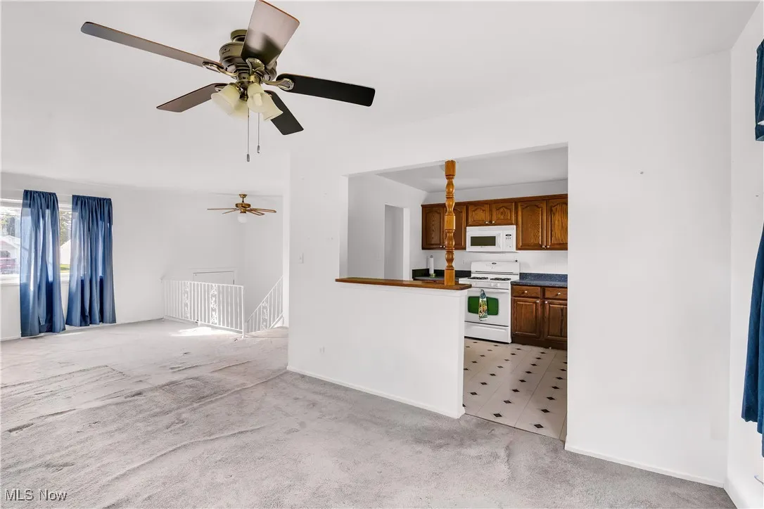1439 Bexley Drive, Youngstown, Ohio 44515,MLS Now Listing ID