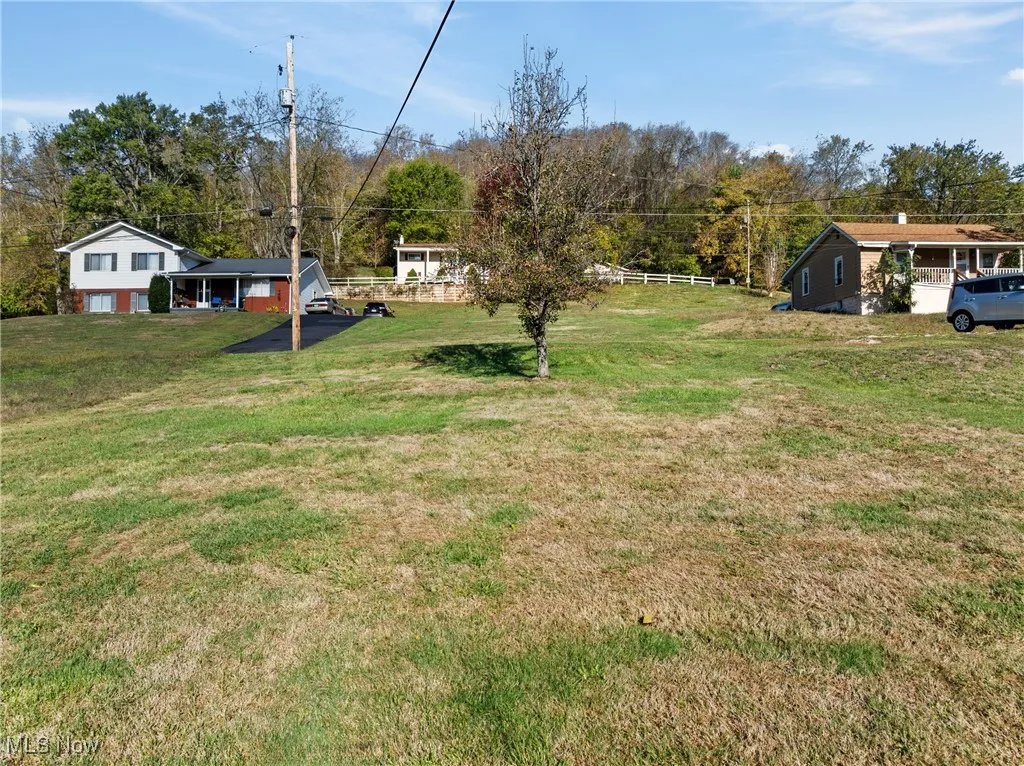 View of grassy yard
