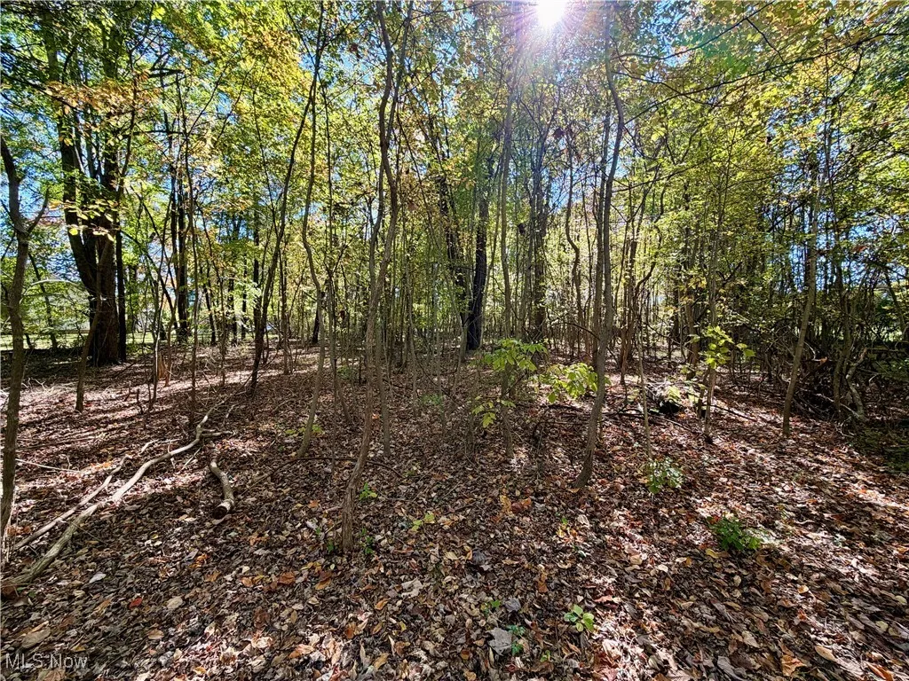 Huckleberry Street, North Canton, Ohio 44720,MLS Now Listing ID