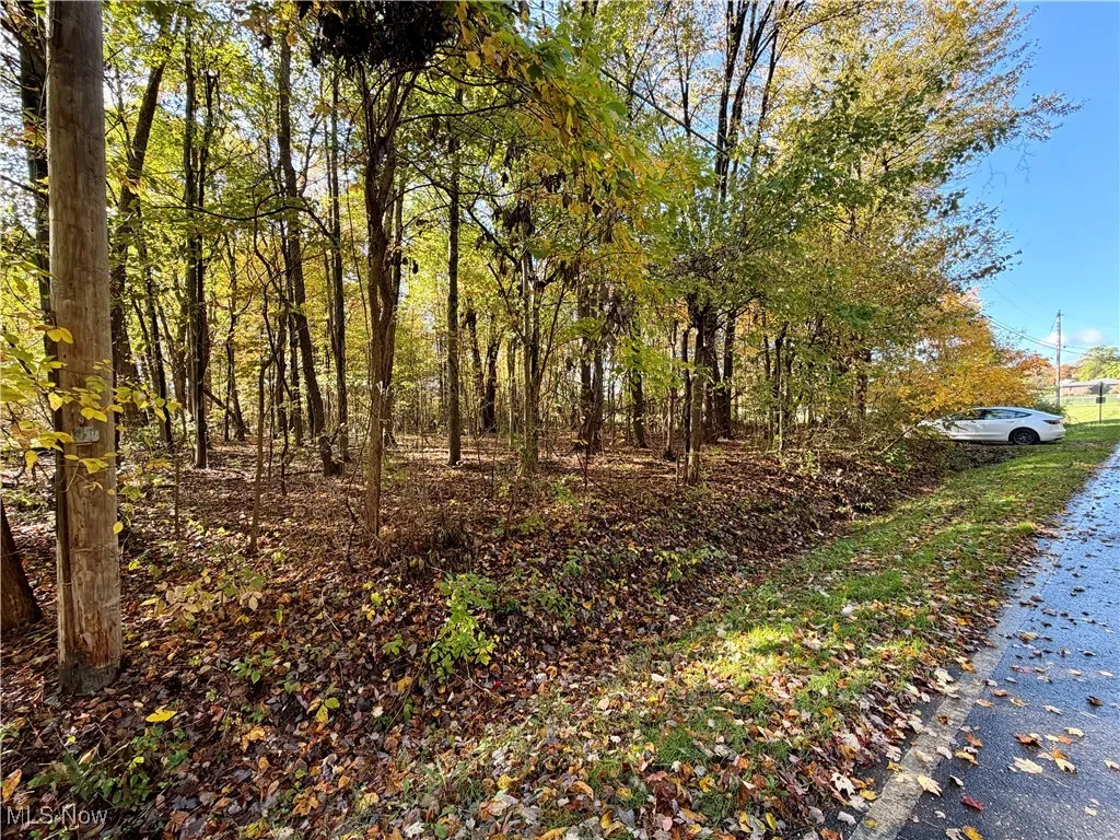 Huckleberry Street, North Canton, Ohio 44720,MLS Now Listing ID