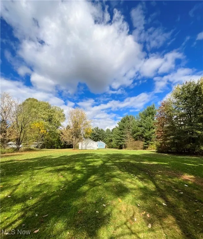 View of grassy yard