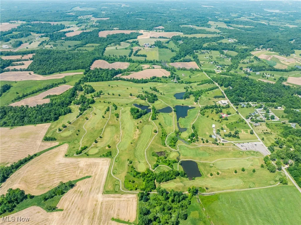 Bird's eye view of a tree filled landscape