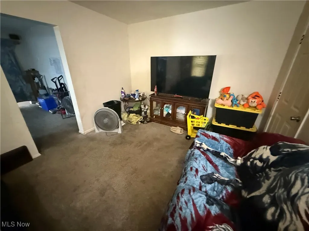 View of carpeted living area