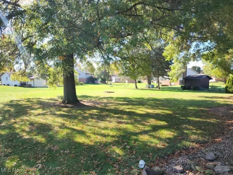 View of grassy yard